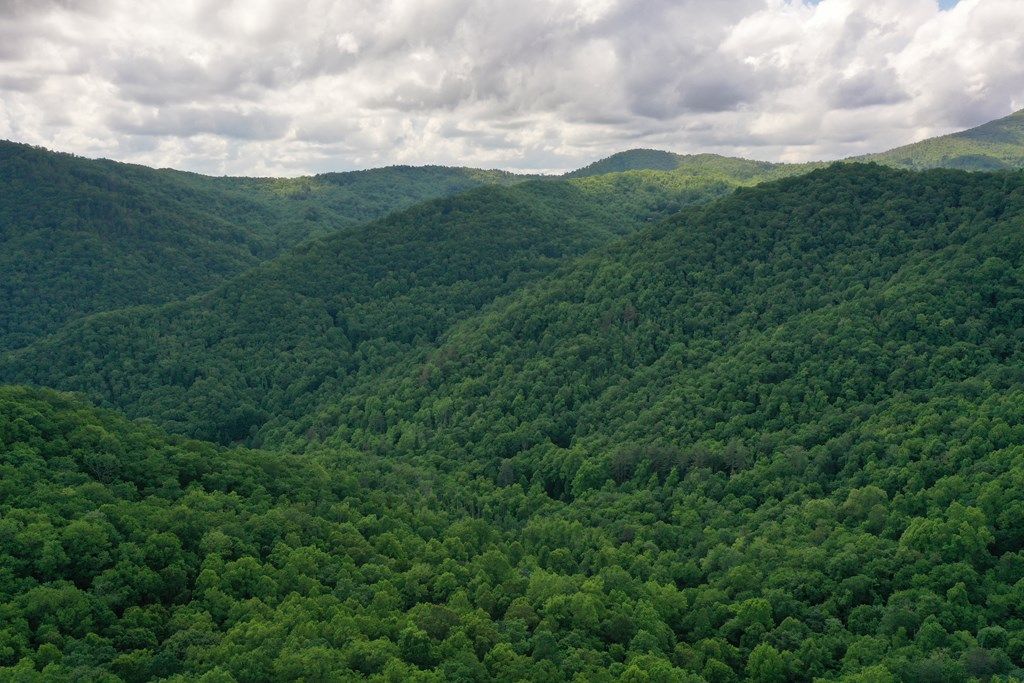 Photo of 0 East Fork Road, Sylva, NC 28779 (MLS # 26042199)