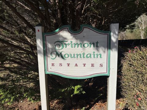 Photo of 00 Woodland Heights Drive, Franklin, NC 28734 (MLS # 26042739)