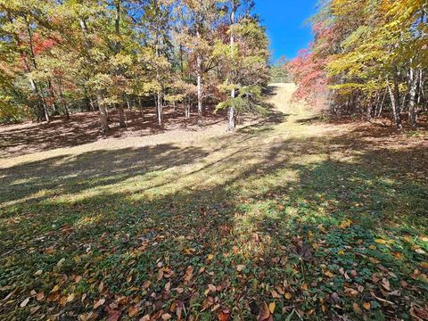 Photo of 0 Roland Rickman Road, Franklin, NC 28734 (MLS # 26042486)