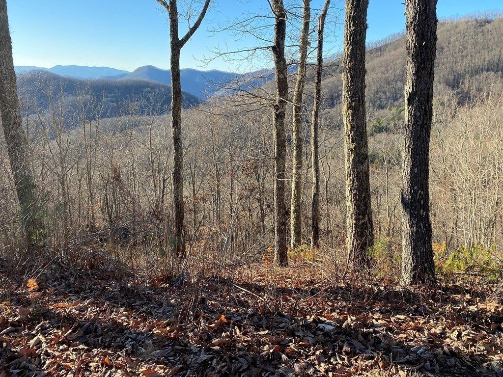 Photo of 61 62 63 Hickory Nut Trail, Sylva, NC 28779 (MLS # 26041721)