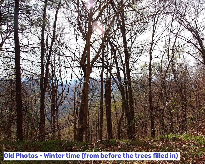Photo of 1000 Yonah Trl, Waynesville, NC 28785 (MLS # 26048229)