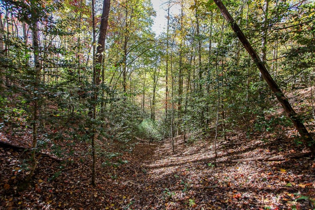 Photo of 99999 Watia Rd, Bryson City, NC 28713 (MLS # 26042440)