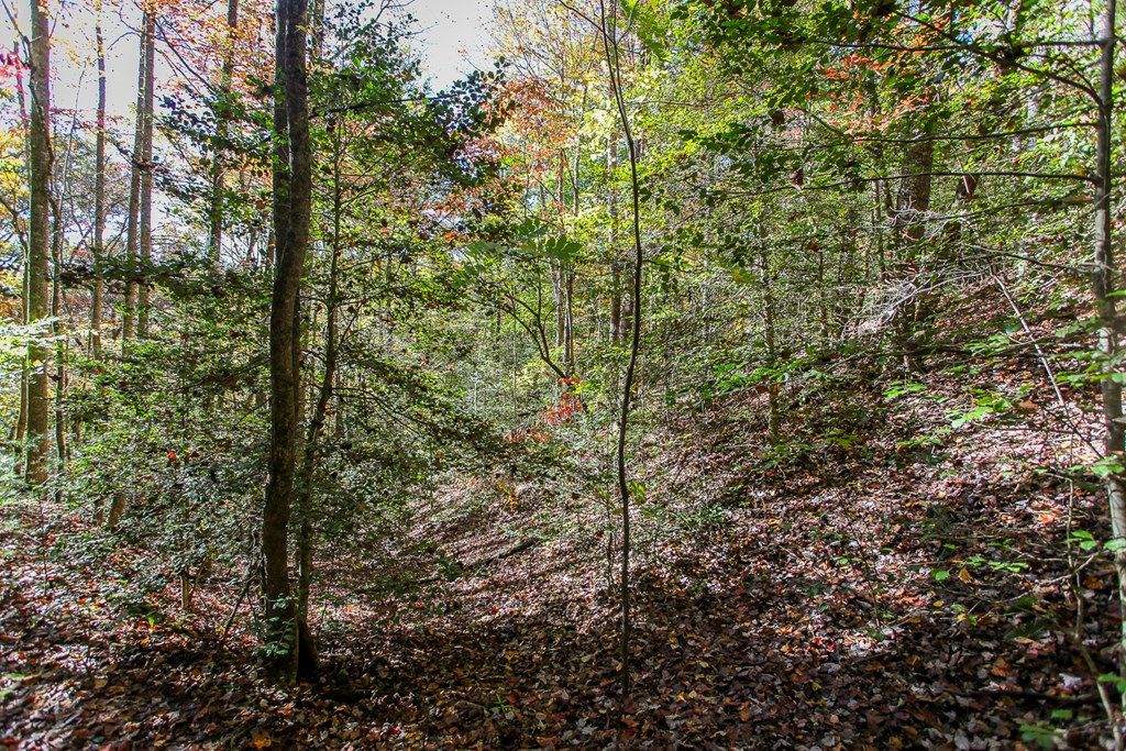 Photo of 99999 Watia Rd, Bryson City, NC 28713 (MLS # 26042440)