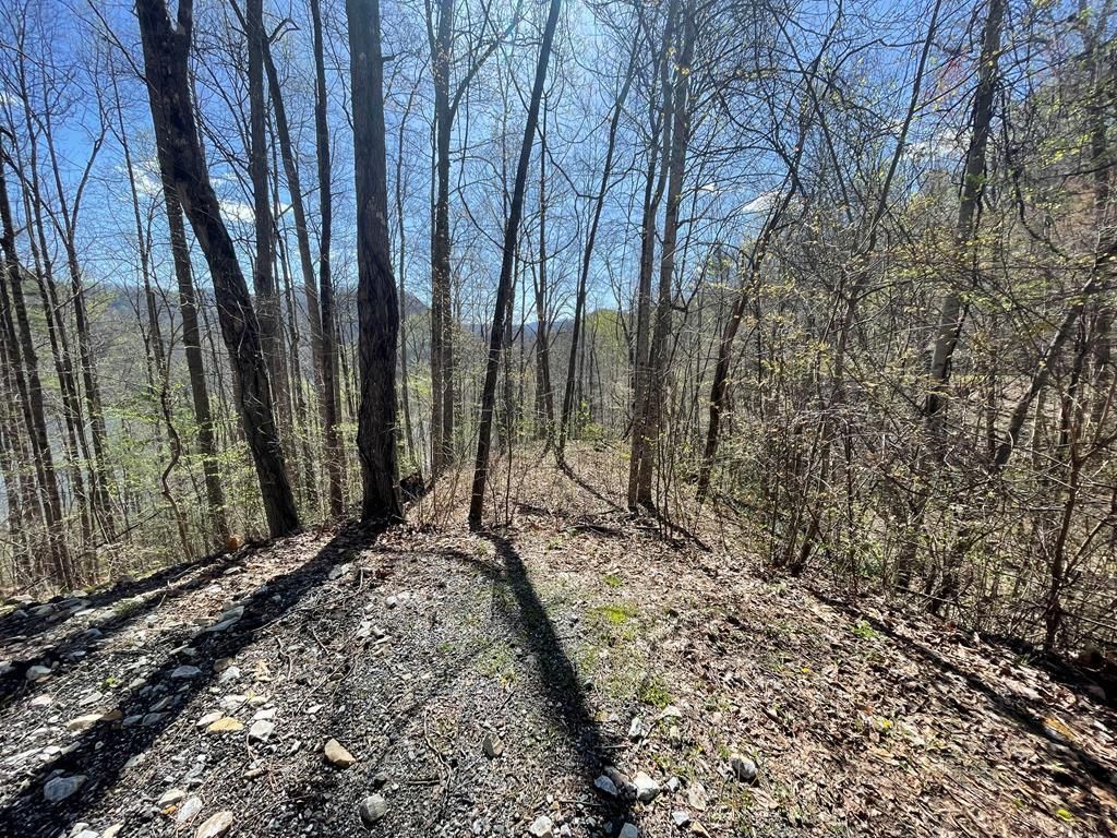 Photo of Lot 277 Pepperbush Lane, Tuckasegee, NC 28783 (MLS # 26047423)