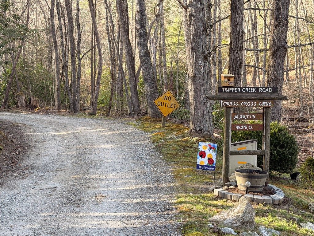 Photo of Lot 18 Crisscross Lane, Tuckasegee, NC 28783 (MLS # 26046722)