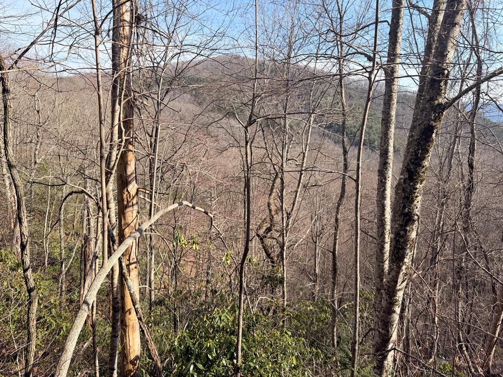 Photo of Lot 18 Crisscross Lane, Tuckasegee, NC 28783 (MLS # 26046722)