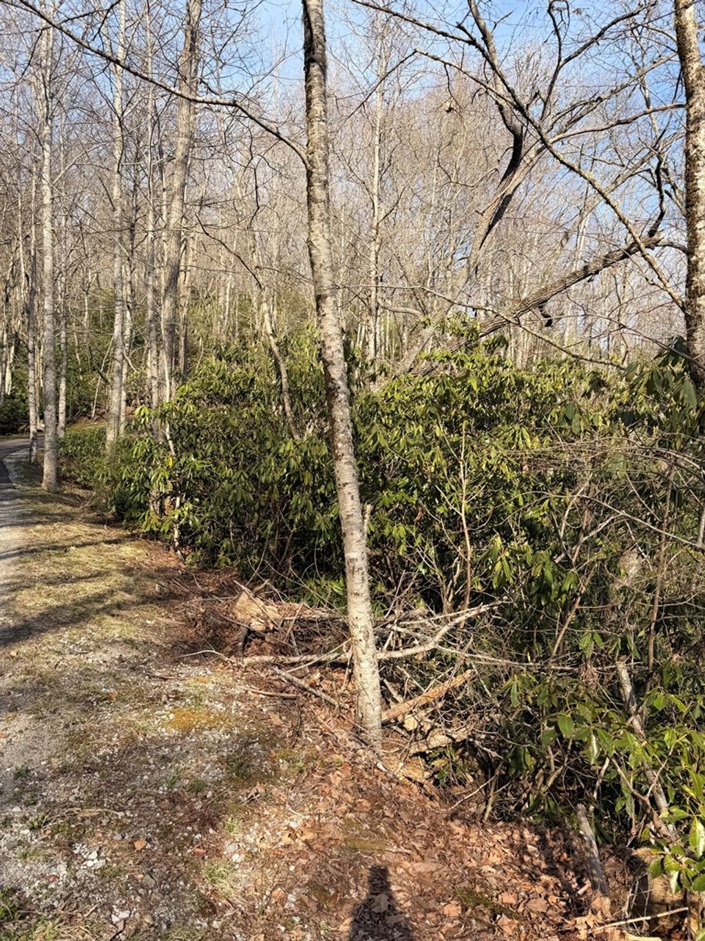 Photo of Lot 18 Crisscross Lane, Tuckasegee, NC 28783 (MLS # 26046722)