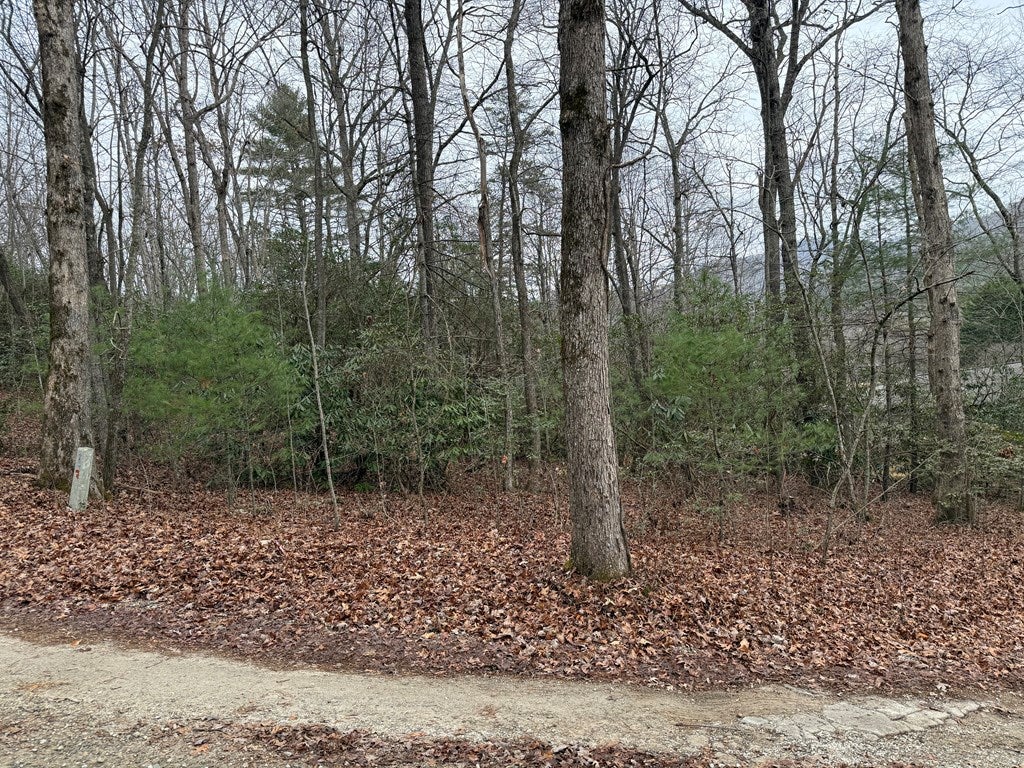 Lot 19 Ideal Acres