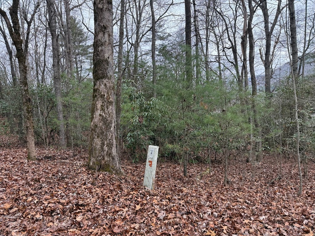 Lot 19 Ideal Acres