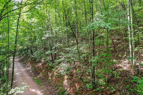 Photo of 0 Lot 52 & 53 Mountain Circle, Franklin, NC 28734 (MLS # 26042087)