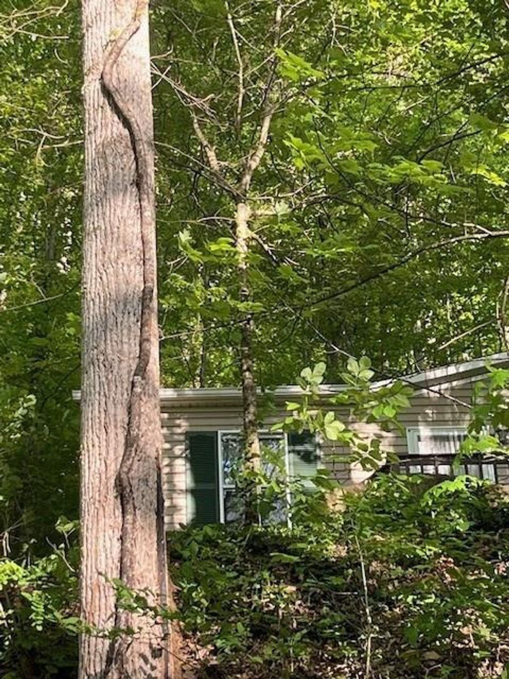 Photo of 50 East Wabash Dr, Sylva, NC 28779 (MLS # 26047104)