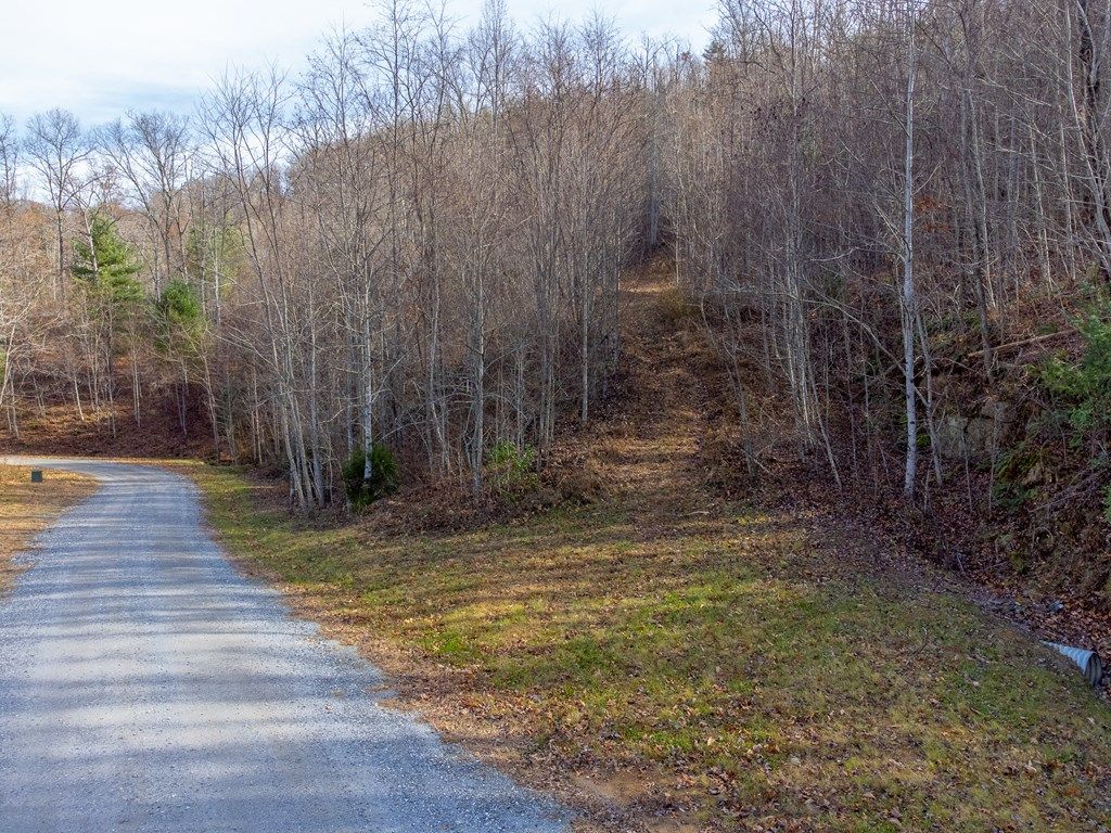 Photo of 00 Garnet Ridge Preserve, Sylva, NC 28779 (MLS # 26042860)