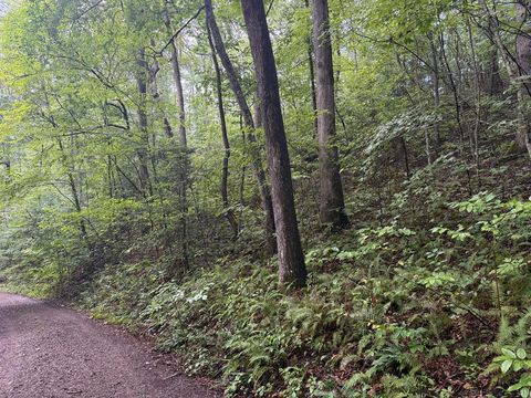 Photo of Lot 19 Cedar Hill Road, Franklin, NC 28734 (MLS # 26041911)