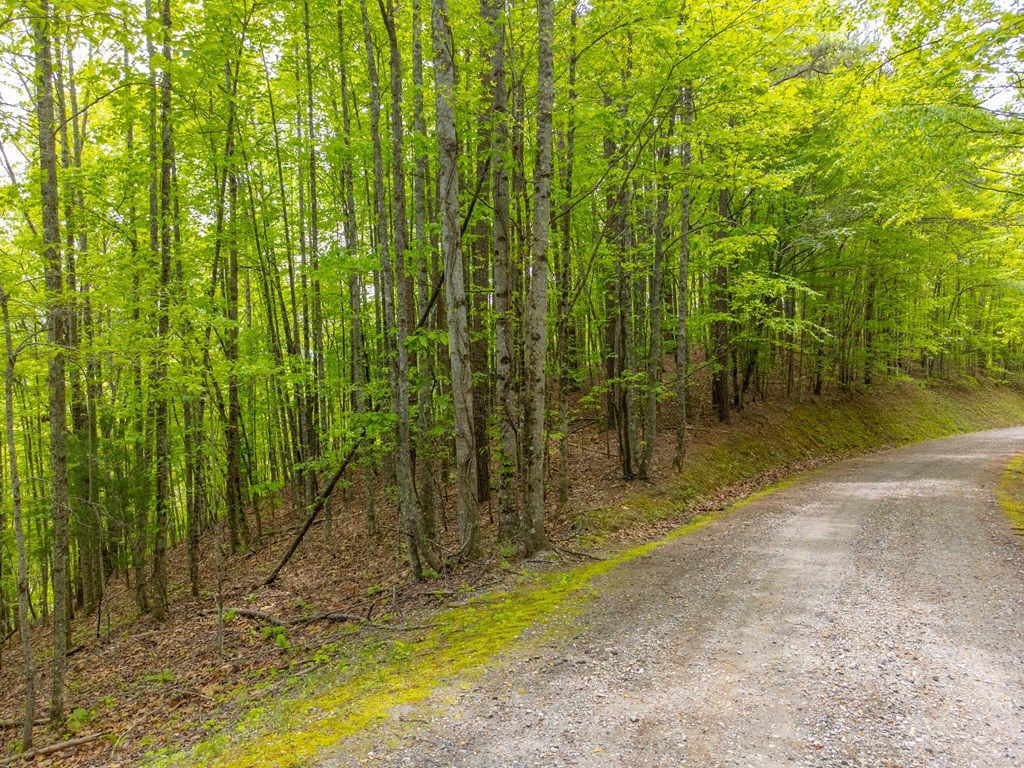 Photo of 18-1 Caroline Trail, Bryson City, NC 28713 (MLS # 26040866)
