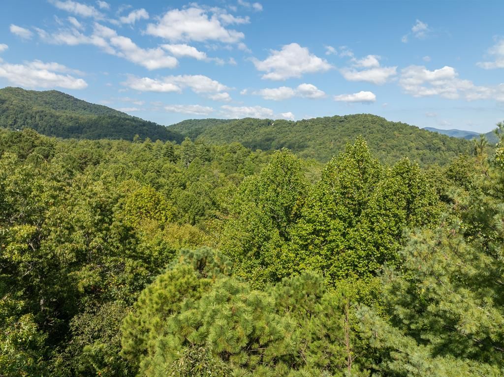 Photo of TBD Old Yellow Branch Road, Robbinsville (Graham), NC 28771 (MLS # 26042132)