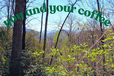 Photo of 1557 Mountain Laurel Dr, Franklin, NC 28734 (MLS # 26046925)