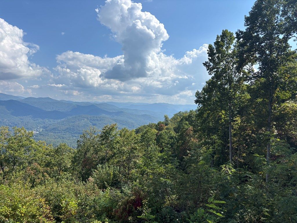 Photo of 1887 Monteith Branch Rd, Sylva, NC 28779 (MLS # 26042242)