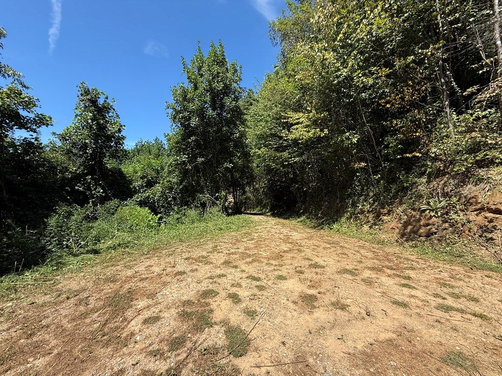 Photo of 00 Lot 14 Cherokee Bluff, Whittier, NC 28786 (MLS # 26041985)