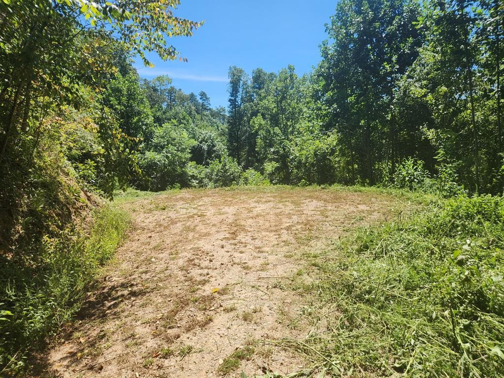 Photo of 00 Lot 14 Cherokee Bluff, Whittier, NC 28786 (MLS # 26041985)
