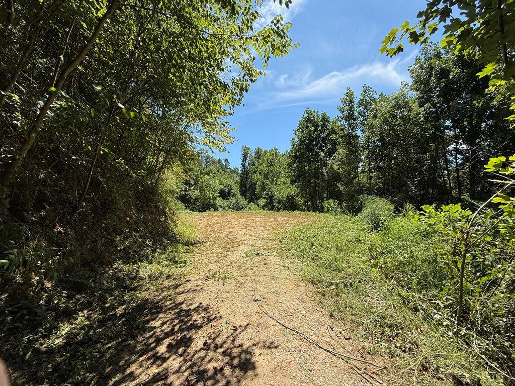 Photo of 00 Lot 14 Cherokee Bluff, Whittier, NC 28786 (MLS # 26041985)