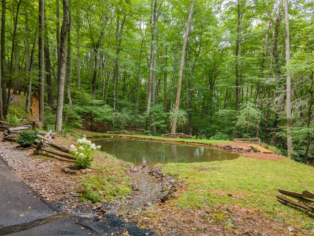 Franklin, North Carolina, 28734, United States, 3 Bedrooms Bedrooms, ,5 BathroomsBathrooms,Residential,Active,2043448