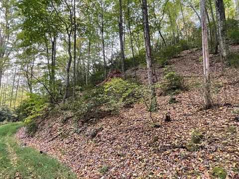 Photo of Lot 19 Bartram Trl Rd, Franklin, NC 28734 (MLS # 26039711)