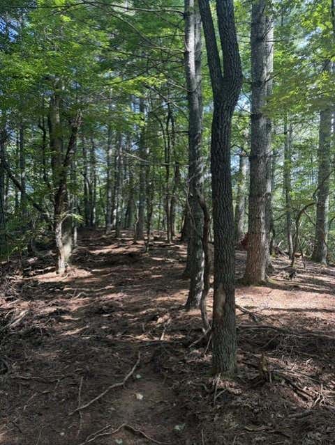 Photo of 150 Wayah Road, Franklin, NC 28734 (MLS # 26048095)