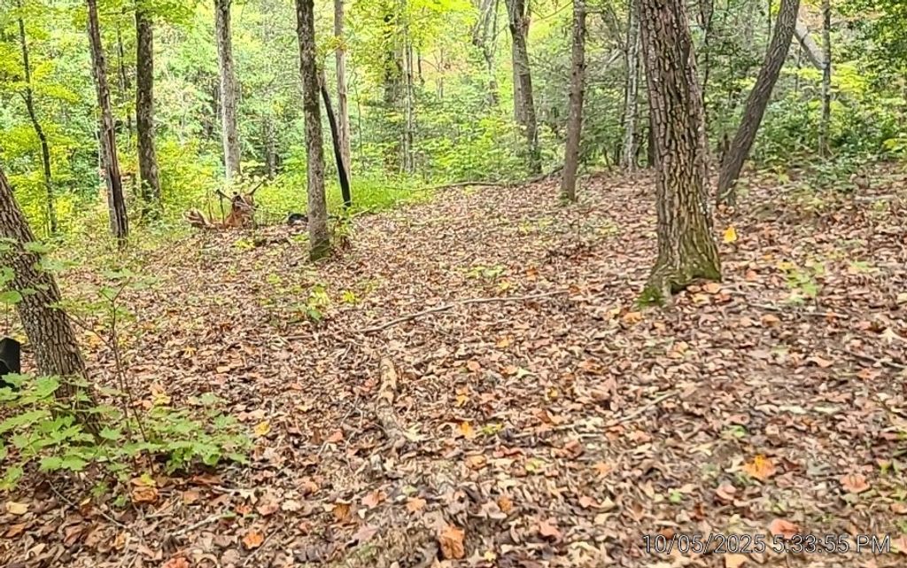 Photo of Lot 9B Varners Ridge Rd, Whittier, NC 28789 (MLS # 26047485)