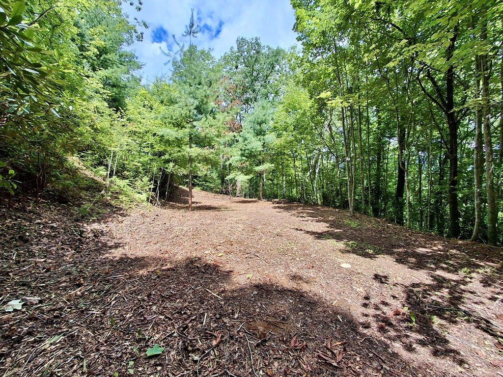 Photo of 0 Sometimes Creek Road, Sylva, NC 28779 (MLS # 26041565)