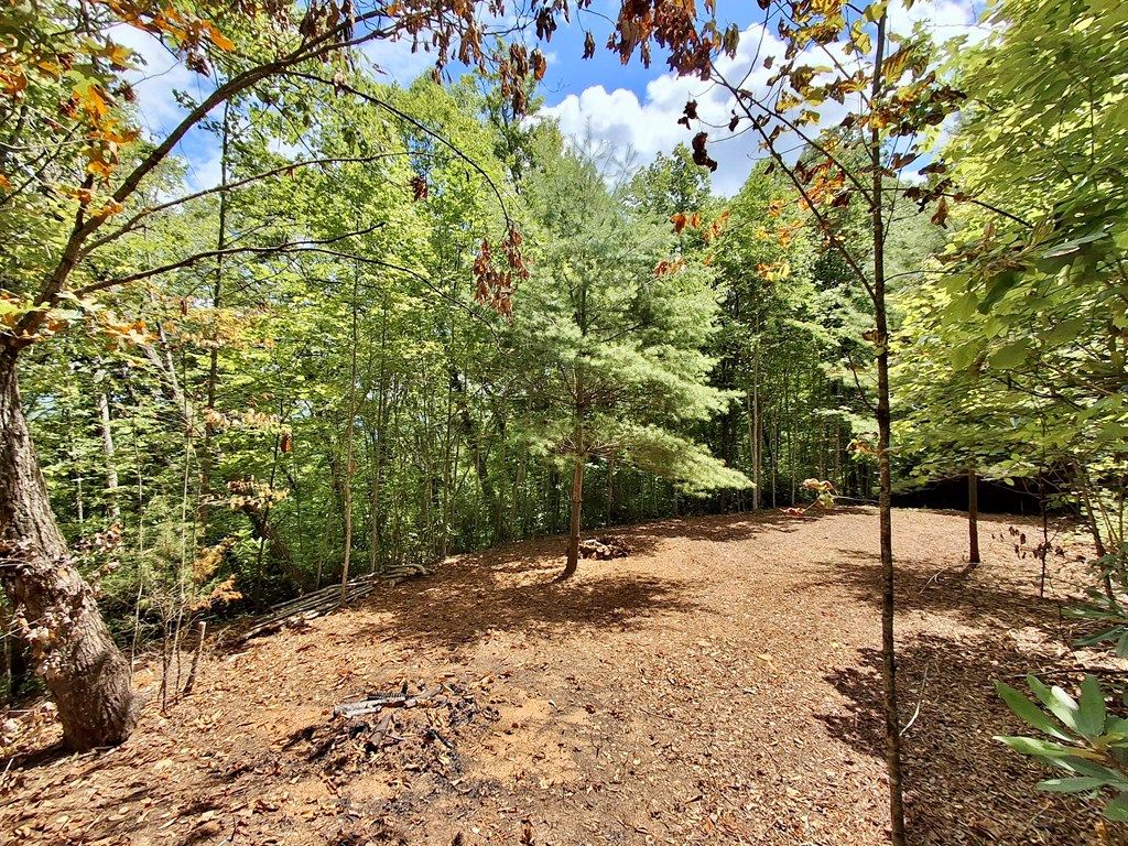 Photo of 0 Sometimes Creek Road, Sylva, NC 28779 (MLS # 26041565)