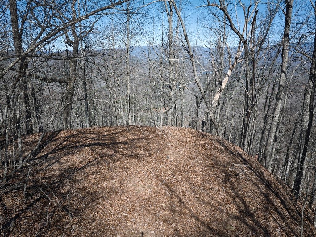 Photo of Lot 2 Grouse Drive, Bryson City, NC 28713 (MLS # 26047032)