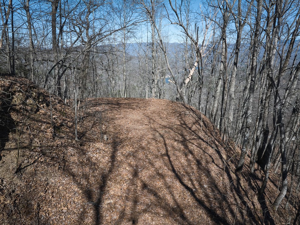 Lot 2 Grouse Drive
