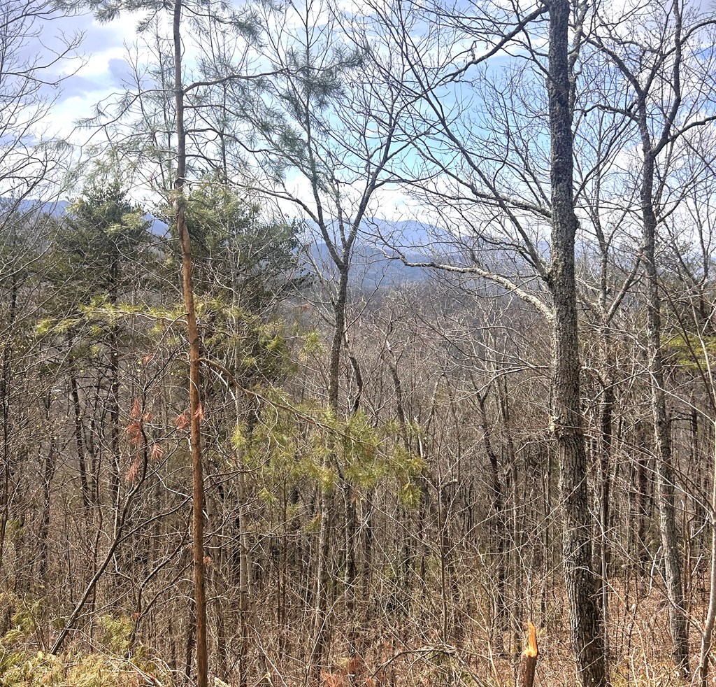 na Walnut Cove