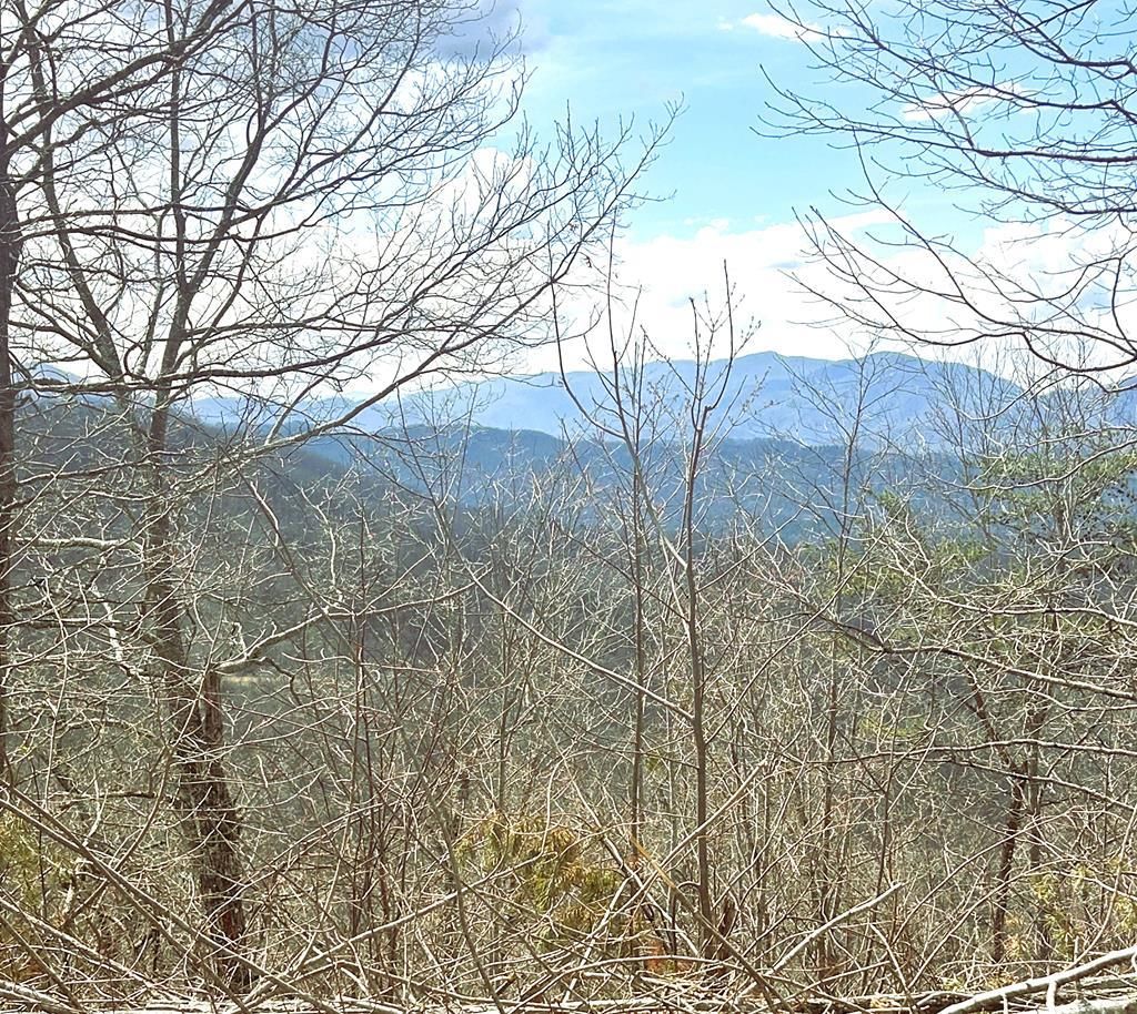 Photo of na Walnut Cove, Bryson City, NC 28713 (MLS # 26046798)
