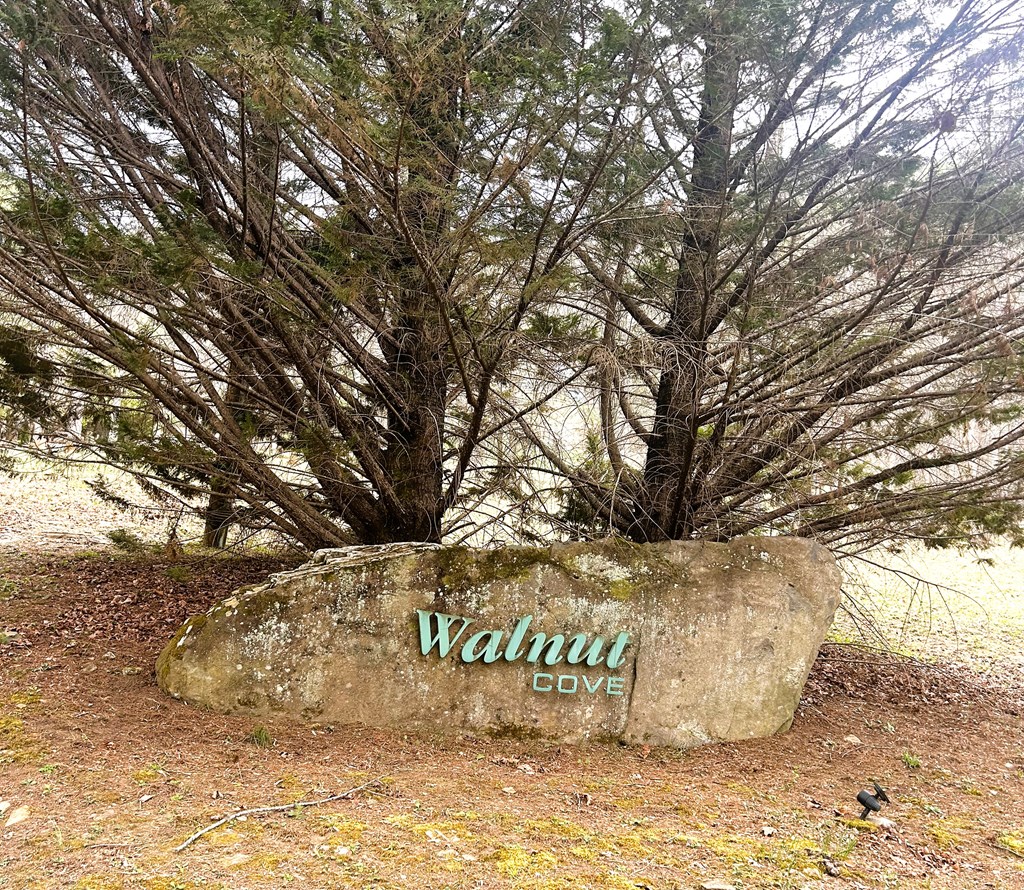na Walnut Cove