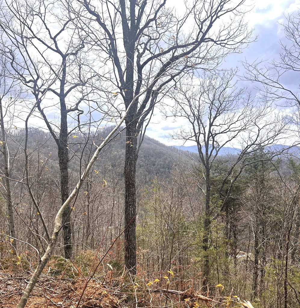 na Walnut Cove