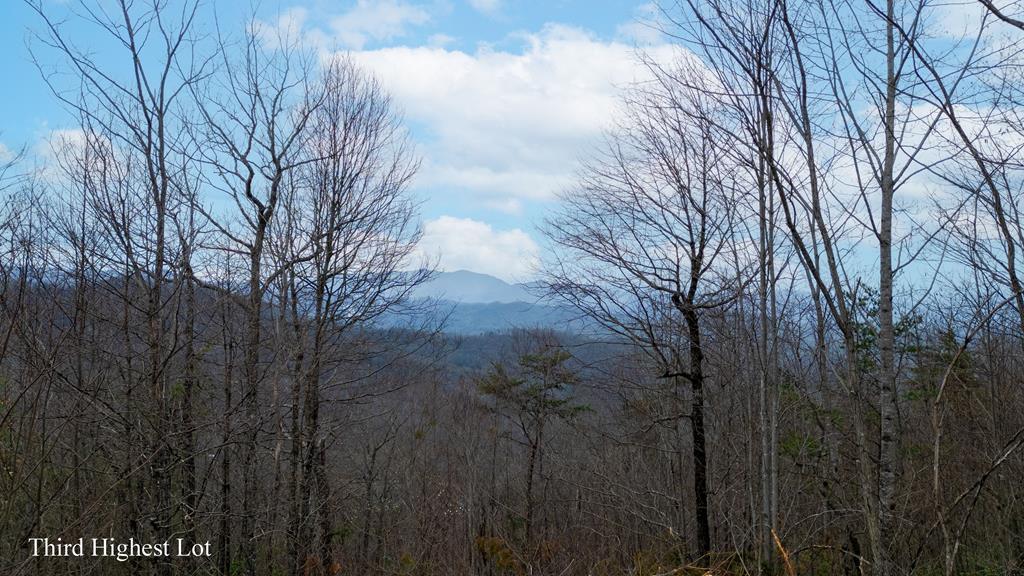 Photo of na Walnut Cove, Bryson City, NC 28713 (MLS # 26046798)