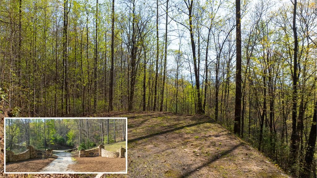 Photo of 0 Hickory Cove Preserve, Bryson City, NC 28713 (MLS # 26040934)