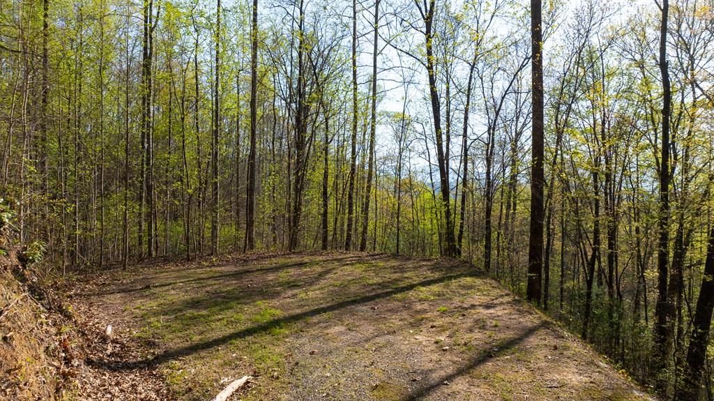 Photo of 0 Hickory Cove Preserve, Bryson City, NC 28713 (MLS # 26040934)