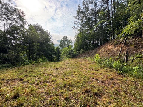 Photo of Lot 16 Jacobs Rd, Bryson City, NC 28713 (MLS # 26048059)