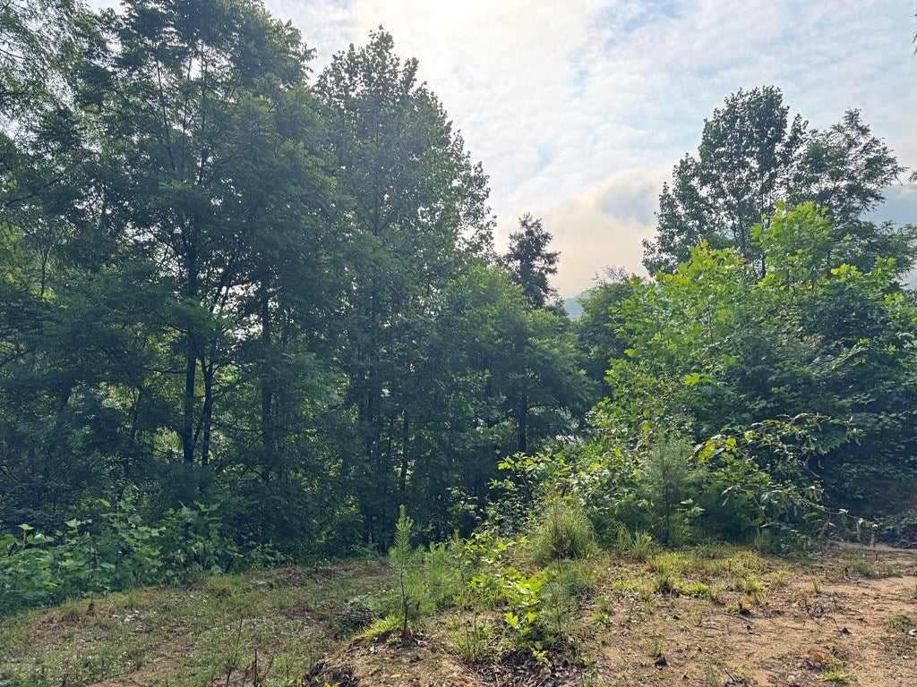 Lot 16 Jacobs Rd