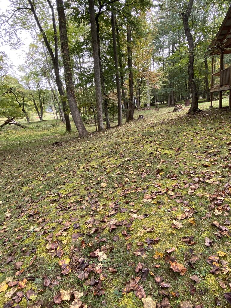 787 Coweeta Lake Circle