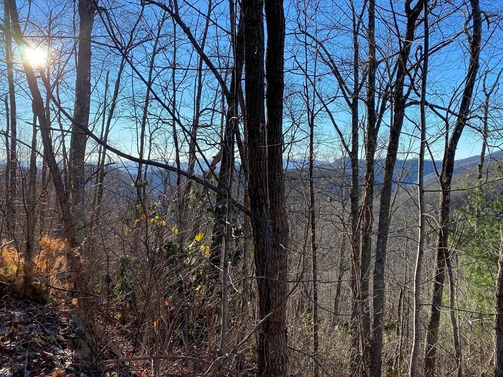 Photo of Lot 63 Hickory Nut Trail, Sylva, NC 28779 (MLS # 26041720)