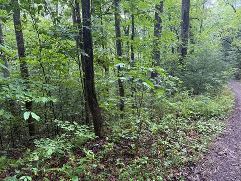 Photo of Lot 14 Cedar Hill Road, Franklin, NC 28734 (MLS # 26041910)