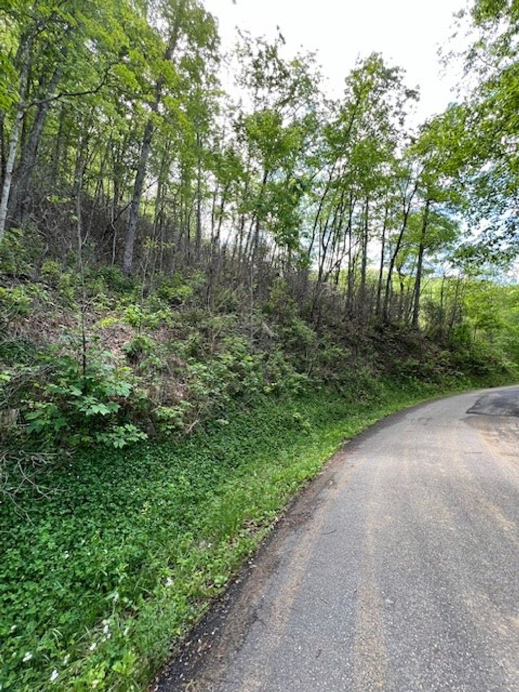 Photo of Lot 8 The Falls, Bryson City, NC 28713 (MLS # 26036702)