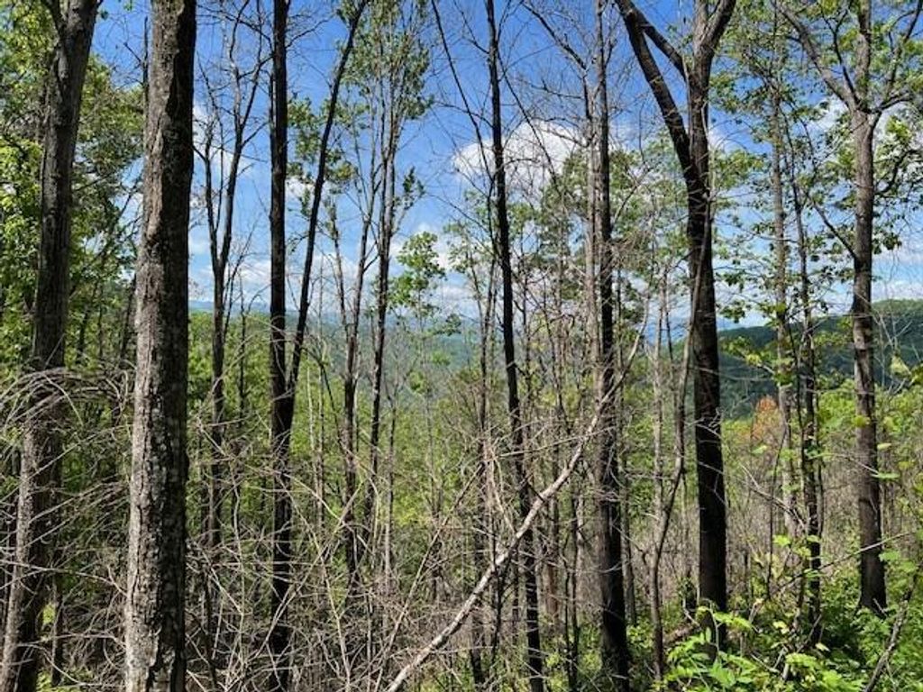 Photo of Lot 8 Falls View Dr, Bryson City, NC 28713 (MLS # 26036702)