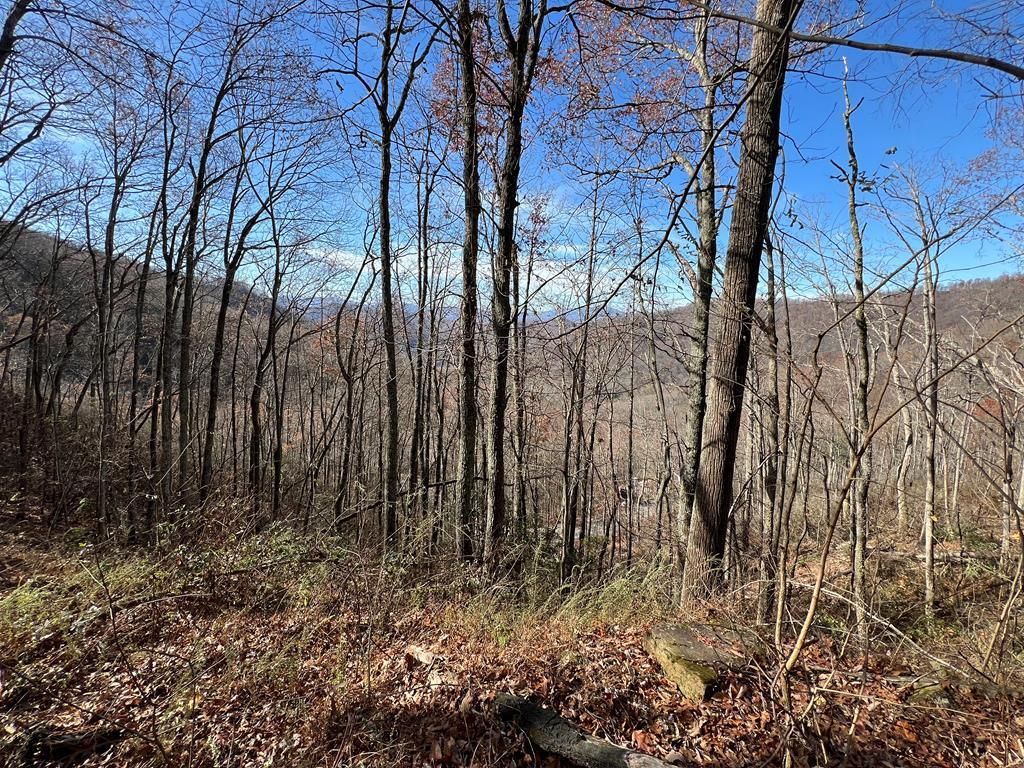 Photo of Lot 8 Falls View Dr, Bryson City, NC 28713 (MLS # 26036702)