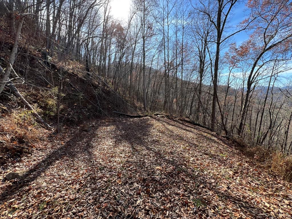 Photo of Lot 8 Falls View Dr, Bryson City, NC 28713 (MLS # 26036702)