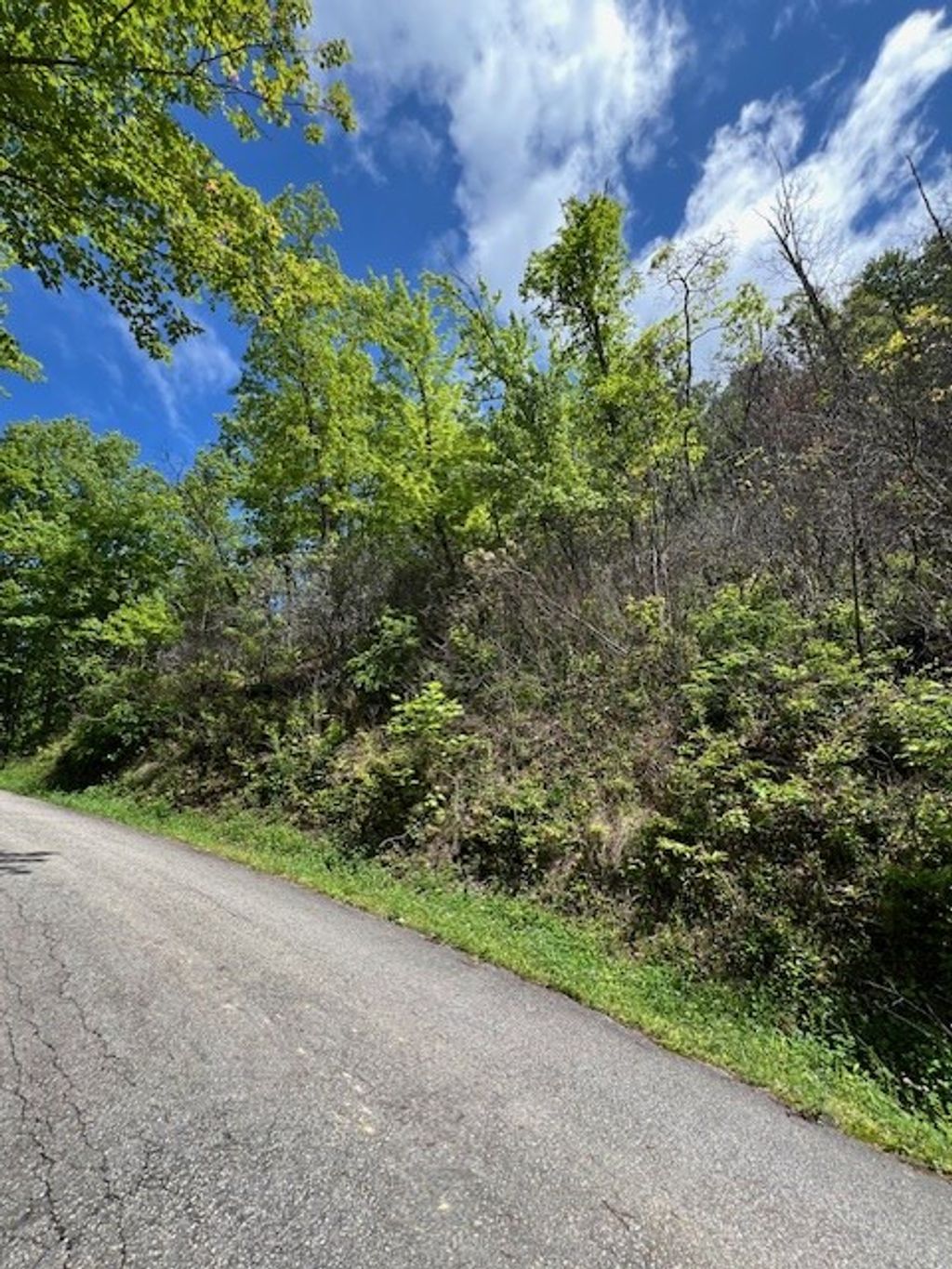 Photo of Lot 8 The Falls, Bryson City, NC 28713 (MLS # 26036702)