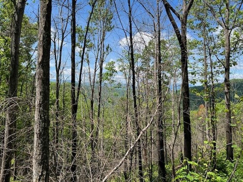 Photo of Lot 8 The Falls, Bryson City, NC 28713 (MLS # 26036702)